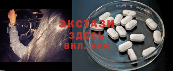 амф Гусев