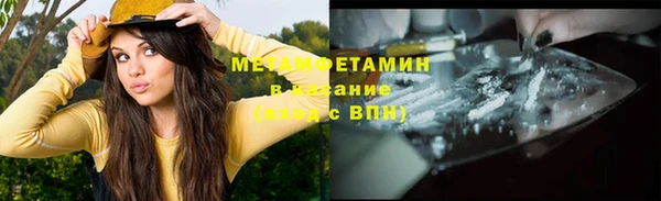 амф Гусев