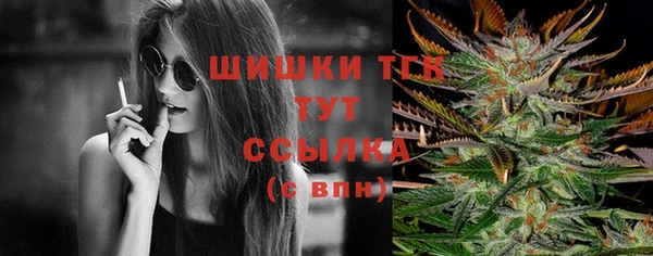амф Гусев