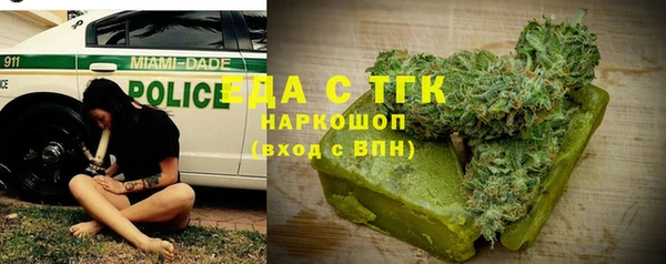 амф Гусев