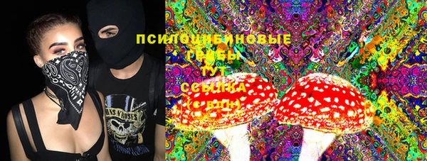 стаф Дмитровск