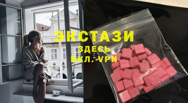 амф Гусев