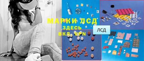 стаф Дмитровск