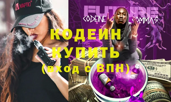 амф Гусев
