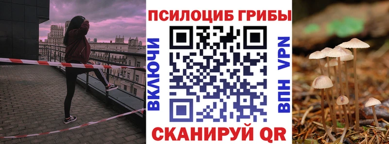 Галлюциногенные грибы Psilocybine cubensis  Купить закладки  Южноуральск 